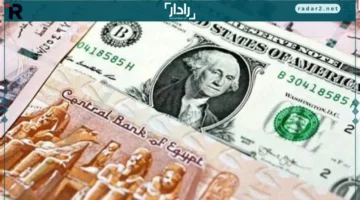 سعر الدولار يستقر أمام الجنيه في البنوك المصرية